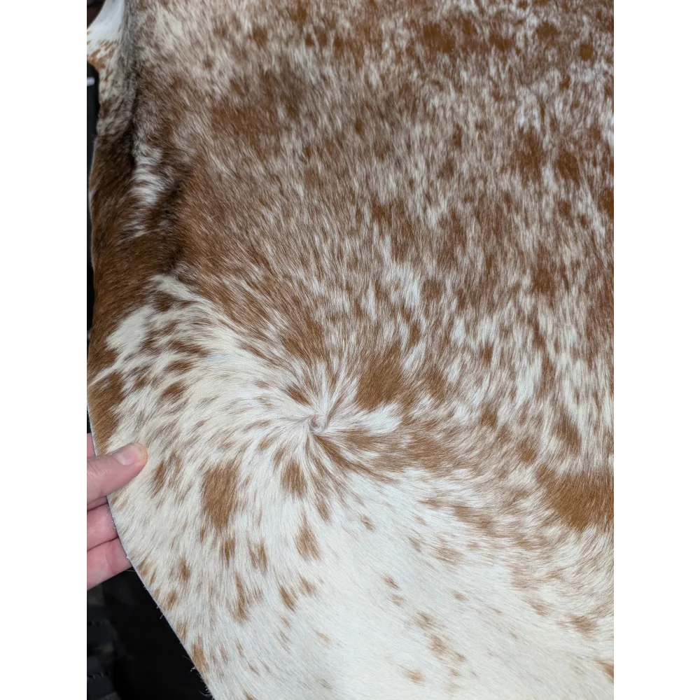 Extra large brown and white cowhide rug with natural texture and unmistakable aura