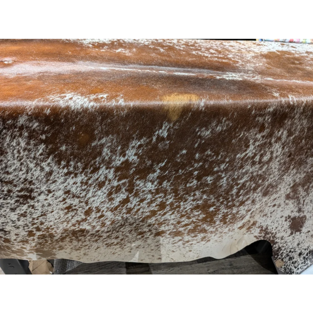 Brown and white speckled cowhide belt with silver buckle on extra large cowhide rug