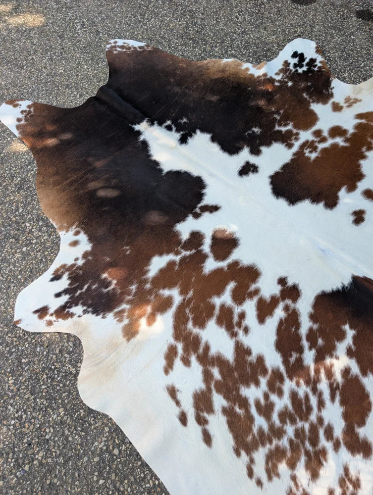Brown and white large cowhide rug with rustic charm featuring natural dark brown patches by Angus Oliver arriving soon