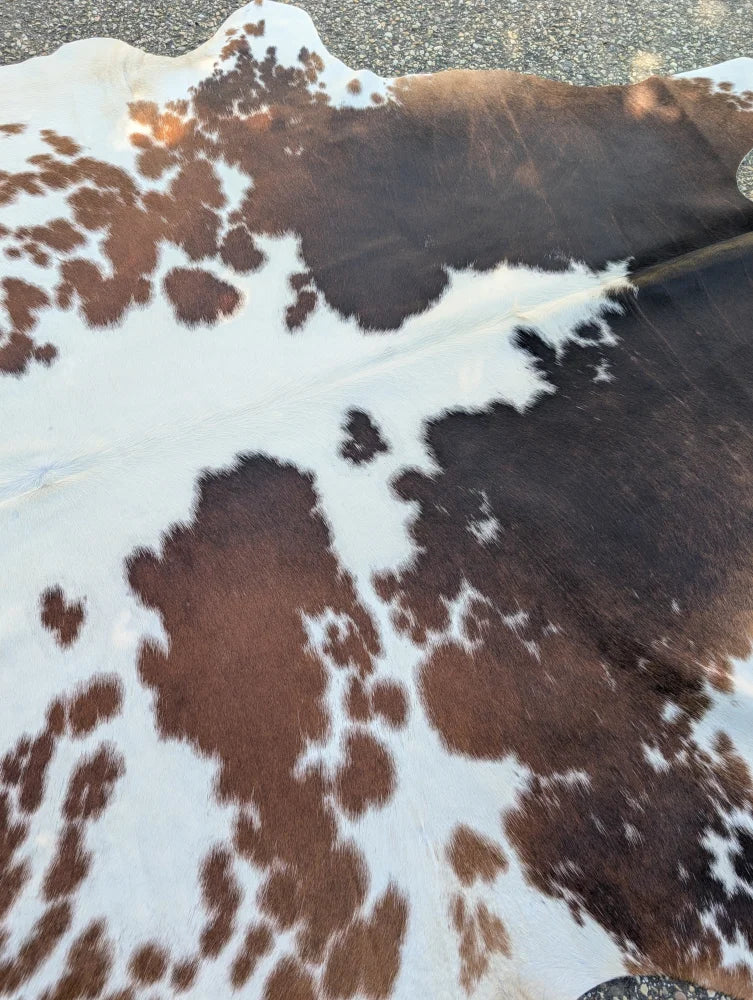 Large brown and white cowhide rug with natural irregular patches showing rustic charm by angus oliver arriving soon