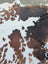 Large brown and white cowhide rug with natural irregular patches showing rustic charm by angus oliver arriving soon
