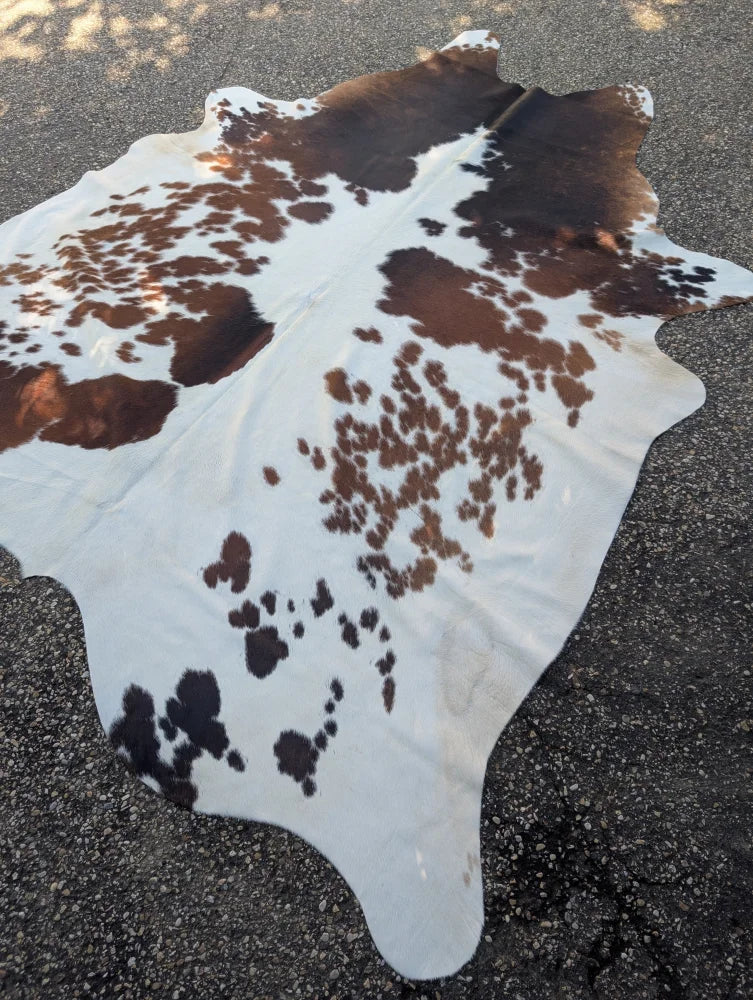 Brown and white large cowhide rug with natural spotted pattern adding rustic charm from angus oliver arriving soon