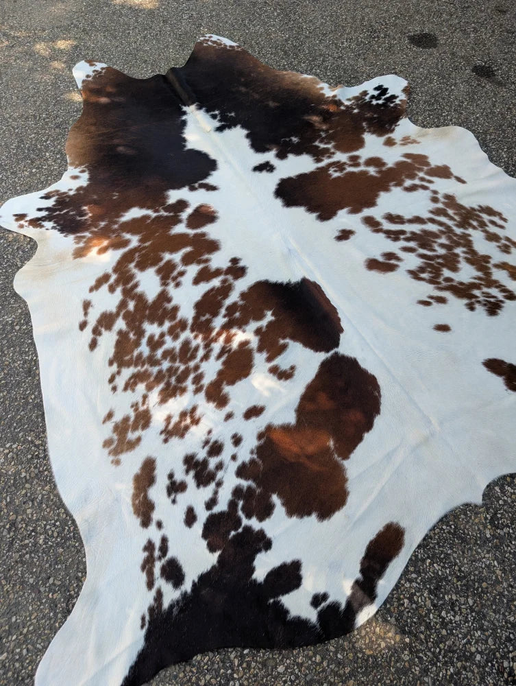 Brown and white angus oliver large cowhide rug with rustic charm dark brown spots on creamy base arriving soon saltpepbrn358