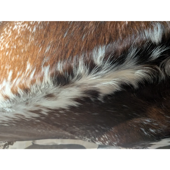 Extra large cowhide rug with brown white spots black accents textured fur