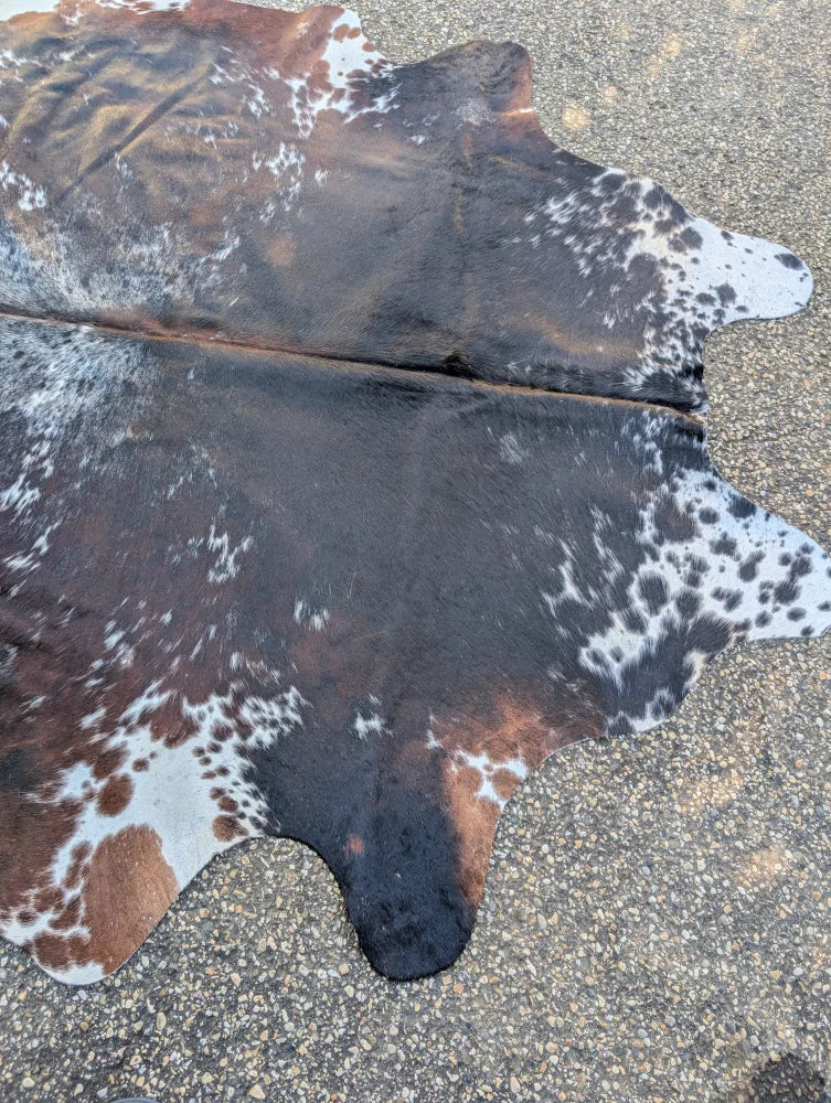 Brown and white spotted large cowhide rug with natural irregular edges showing unique characteristics and rustic charm