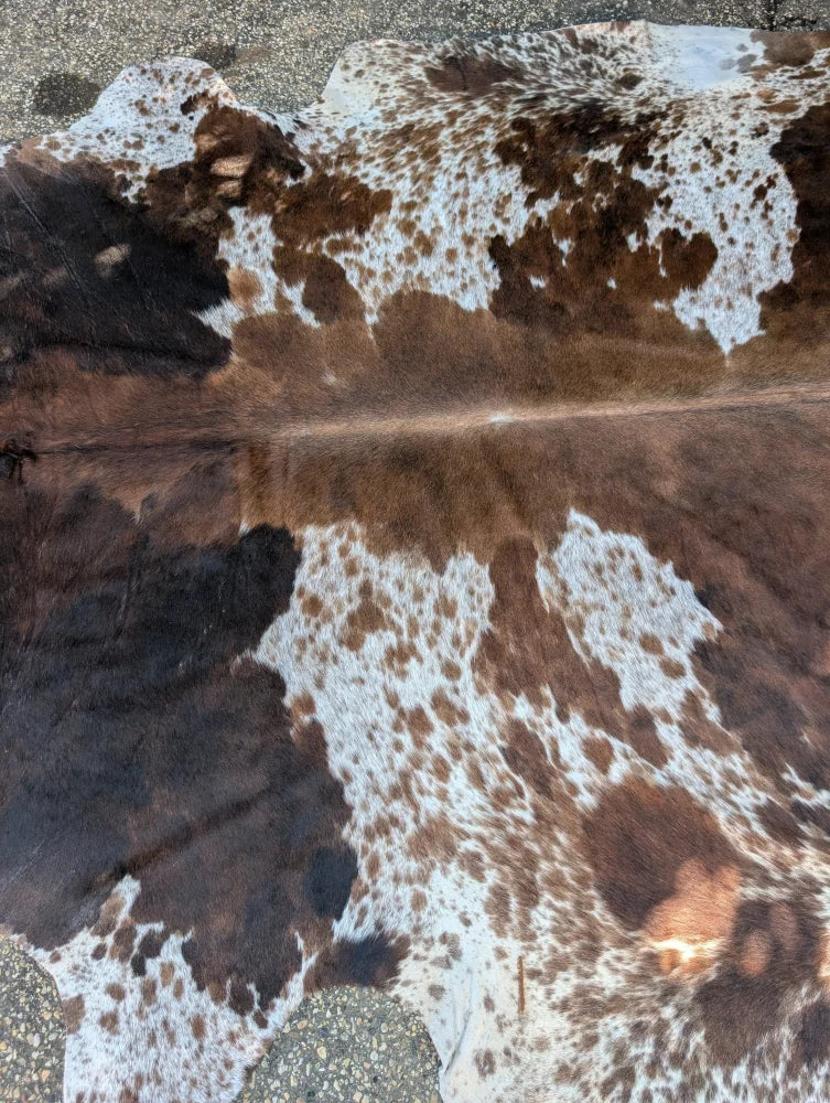 Large brown and white spotted cowhide rug with natural fur texture and unique characteristics for rustic charm