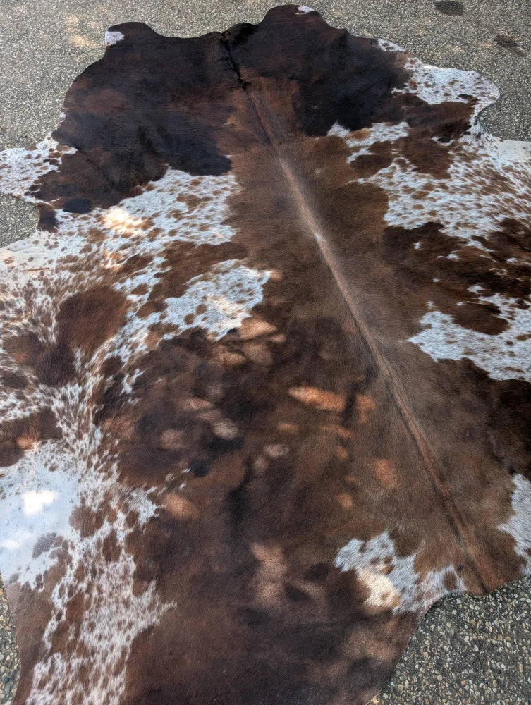 Large brown and white spotted cowhide rug saltpep brown 324 with natural fur texture and rustic charm