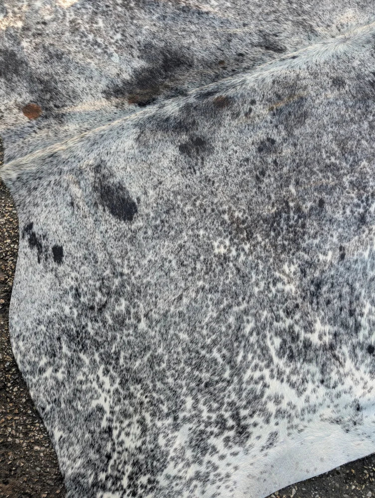 Large saltpeptricolour cowhide rug with gray white speckles and natural black spots offering rustic charm and unique characteristics