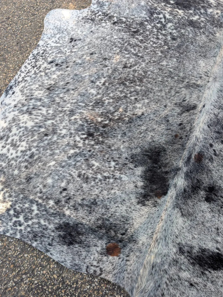 A large saltpep tricolour gray and black speckled cowhide rug with unique characteristics and rustic charm