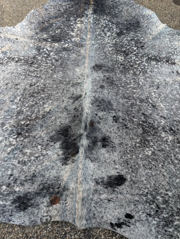 Large gray and black speckled cowhide rug with unique characteristics and rustic charm saltpep tricolour 478 102 x 87
