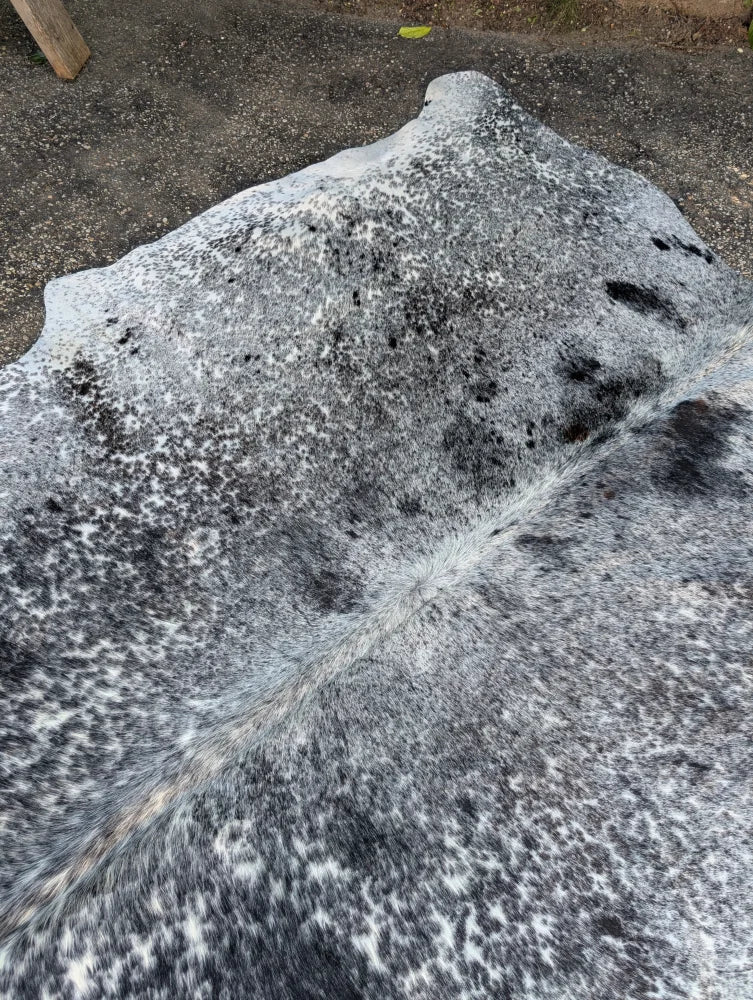 A large gray and black speckled cowhide rug with unique characteristics and rustic charm in a natural irregular edge