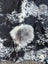 Large black and white cowhide rug saltpeptricolour#479 with fluffy natural fur texture and rustic charm