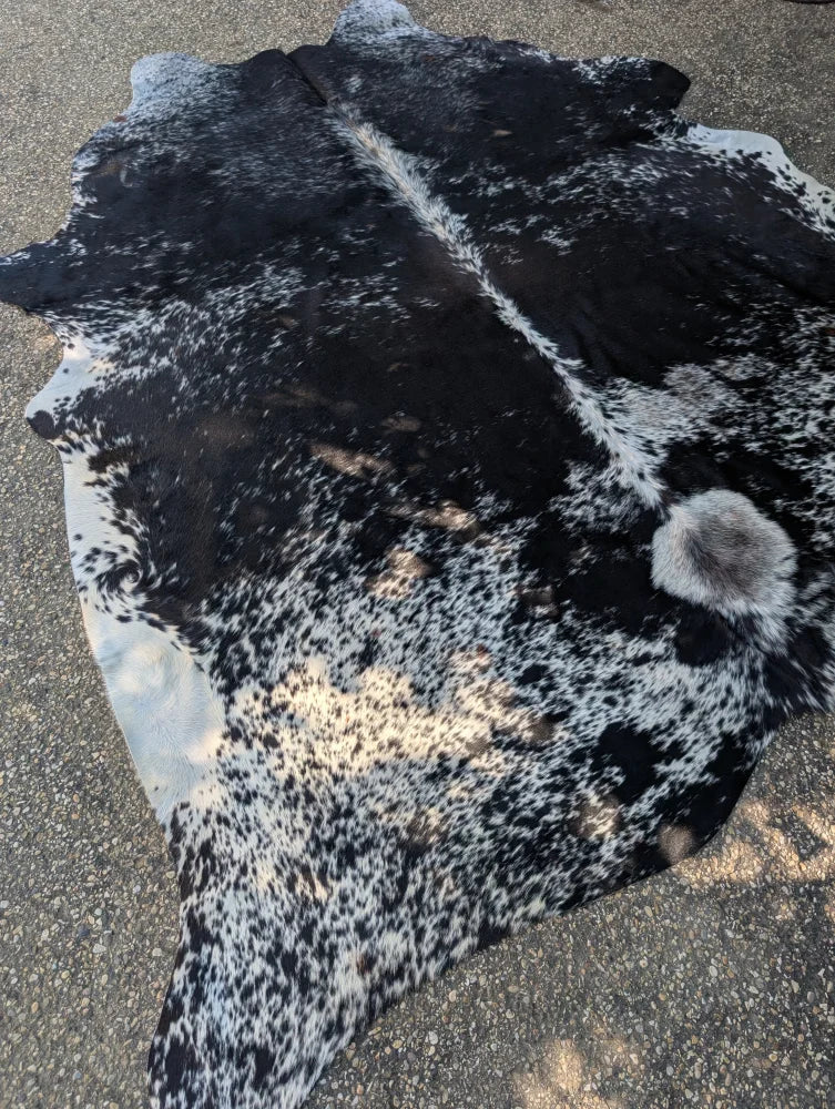Large black and white spotted cowhide rug with unique characteristics and rustic charm saltpep tricolour 479 101 x 89