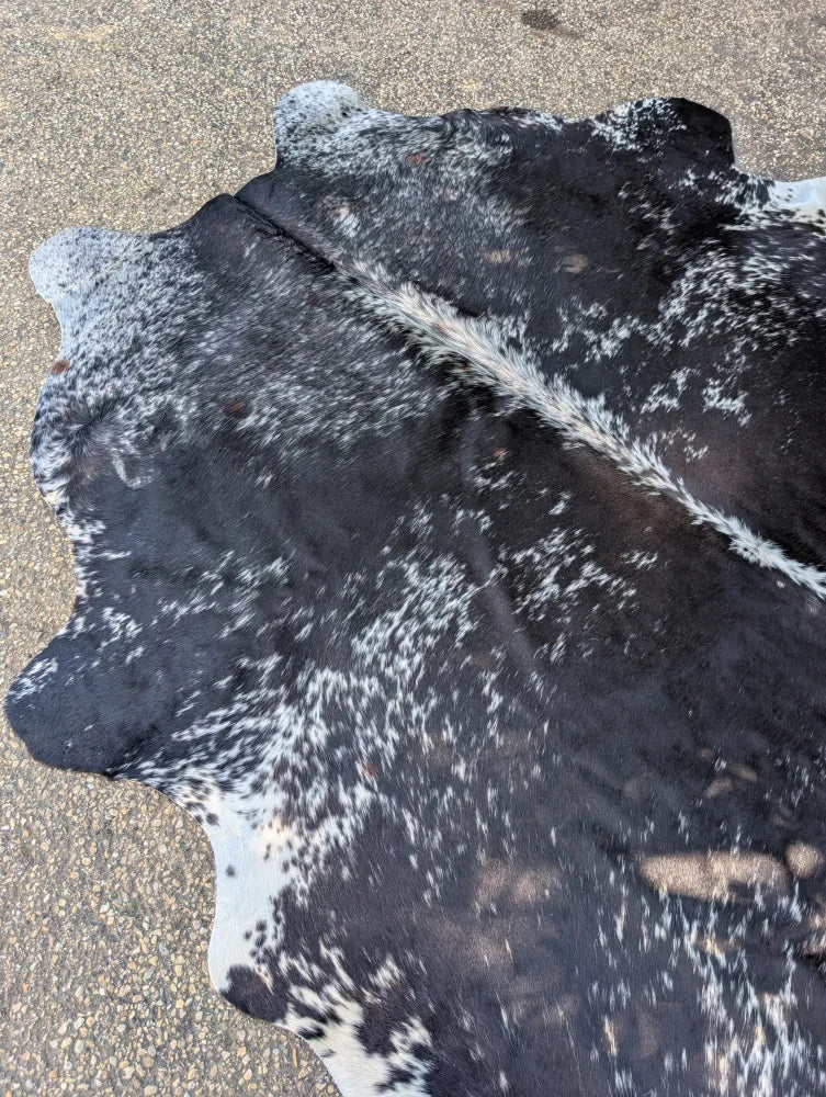 Large black and white cowhide rug saltpeptricolour 479 with unique characteristics and rustic charm natural edges