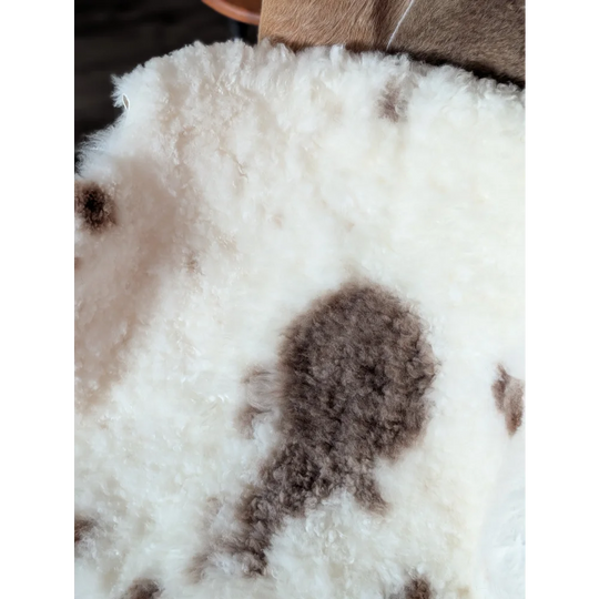 A plush white tibet highland spotted sheepskin rug with soft curly fibers and brown patches in grade a quality