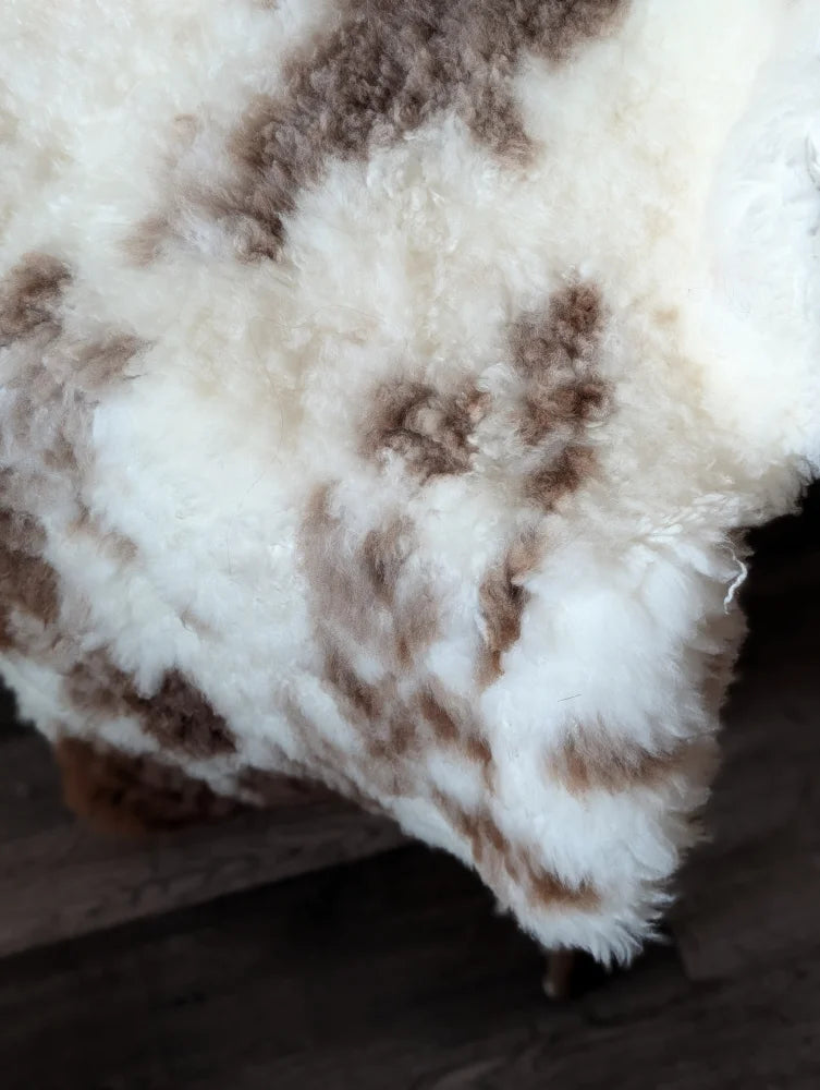 A plush cream and brown tibet highland spotted sheepskin rug with soft curly texture 47.5 by 26 inches