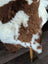Brown and white plush fluffy tibet highland spotted sheepskin rug perfect for cozy home decor