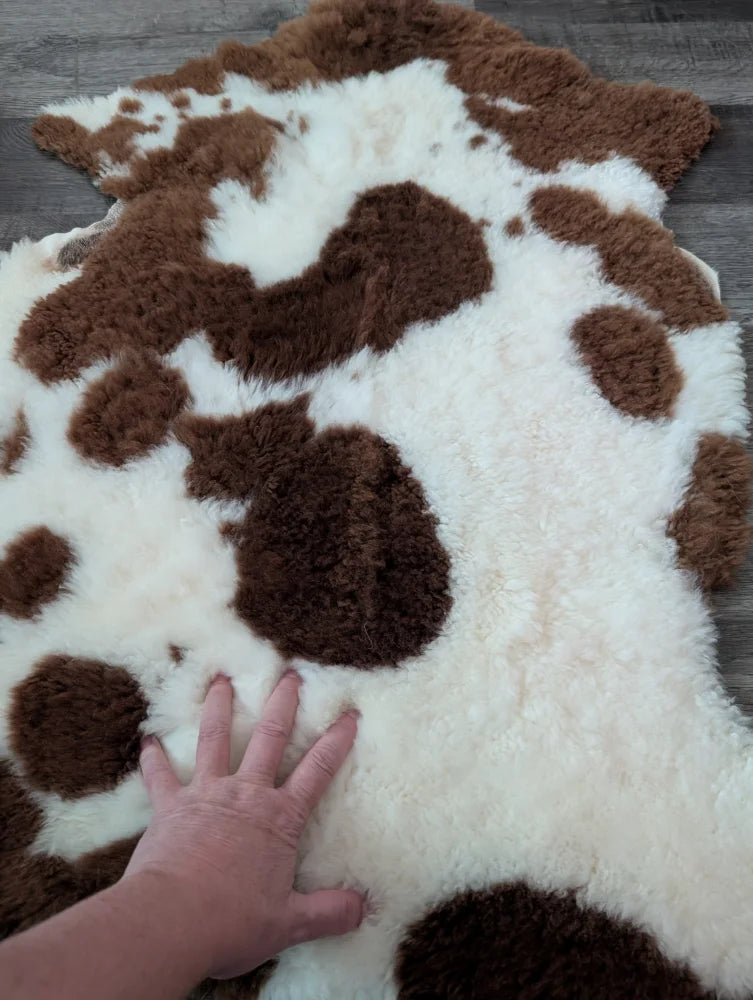 A plush brown and white highland spotted sheepskin rug with soft fluffy tibet highland spotted fur texture