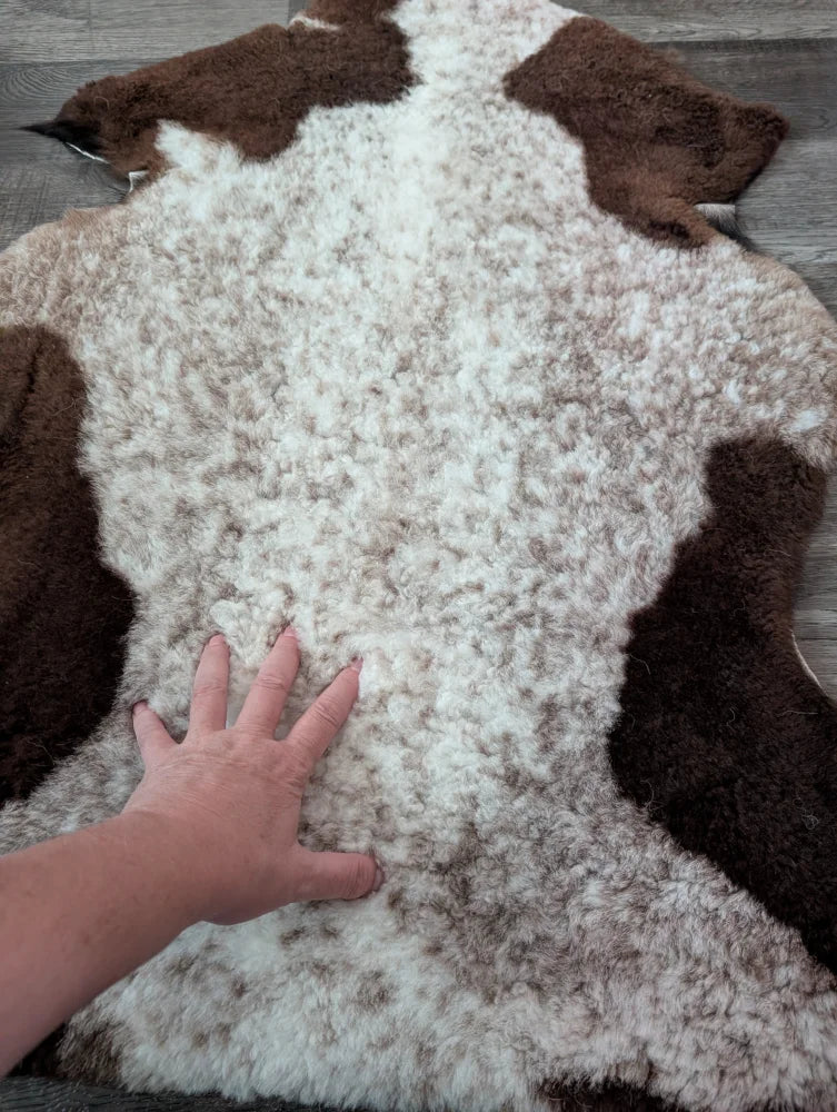 A plush 39 x 26 inch tibet highland spotted sheepskin rug with curly fur in natural white and brown colors