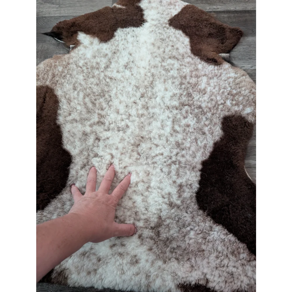 A plush 39 x 26 inch tibet highland spotted sheepskin rug with curly fur in natural white and brown colors
