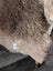 A plush brown tibet highland spotted sheepskin rug with soft shaggy texture and natural white markings, 40 x 25 inches