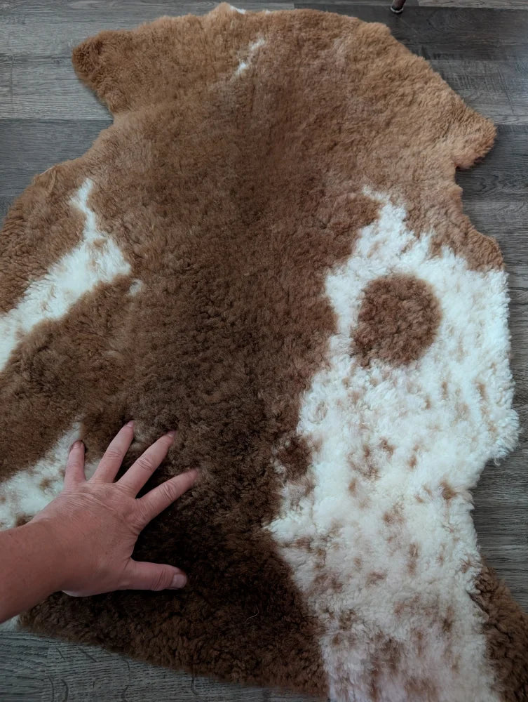 A plush tibet highland spotted sheepskin rug in natural brown and white with irregular shape and grade a softness