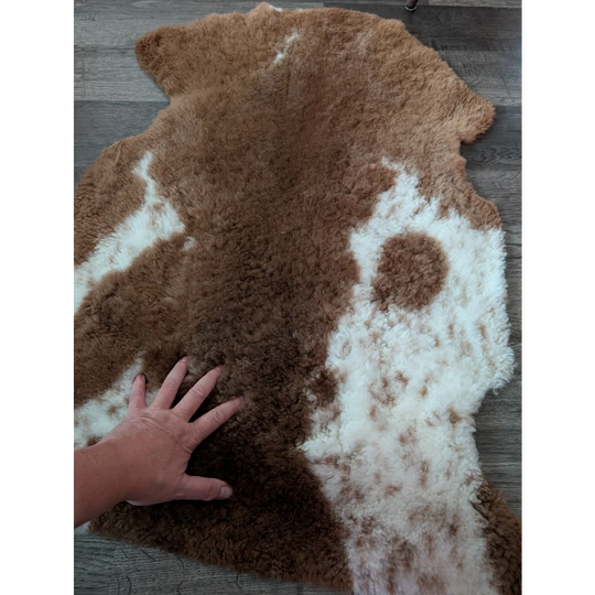 A plush tibet highland spotted sheepskin rug in natural brown and white with irregular shape and grade a softness