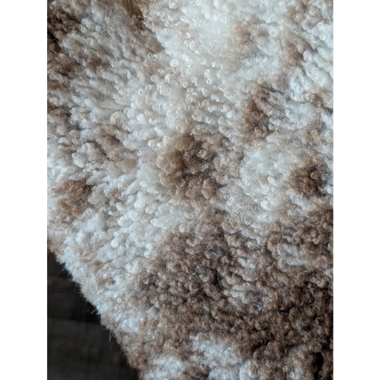 A cozy cream and brown tibet highland spotted sheepskin with plush curly fibers in 40 x 26 inch size