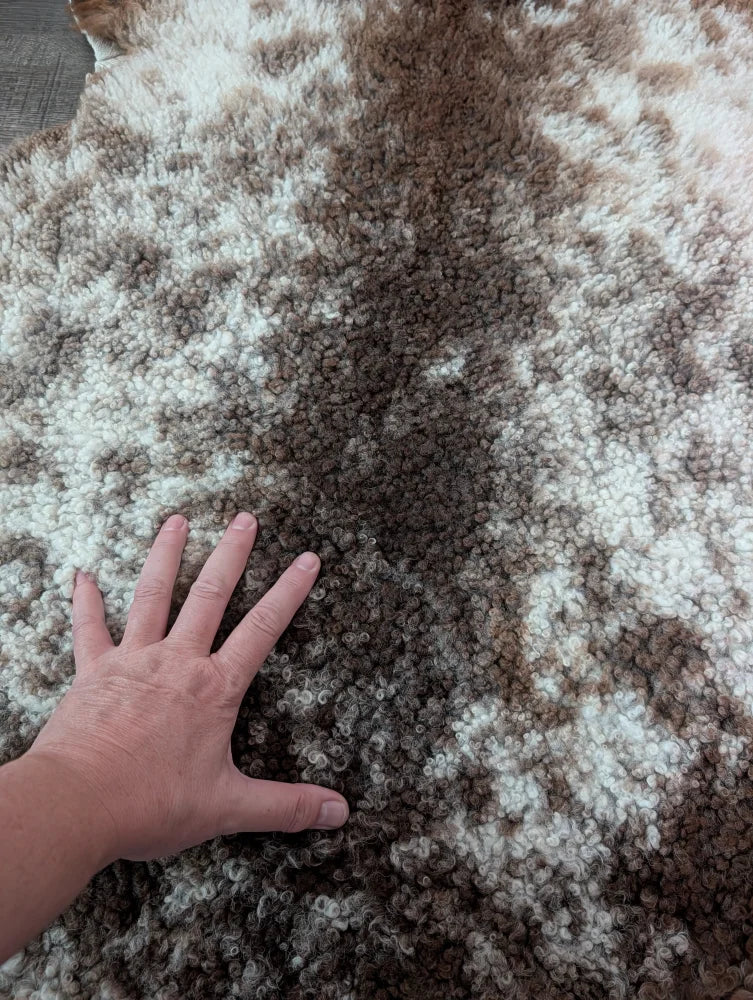 A plush 40x26 inch tibet highland spotted sheepskin rug with curly cream and brown mottled fur grade a quality