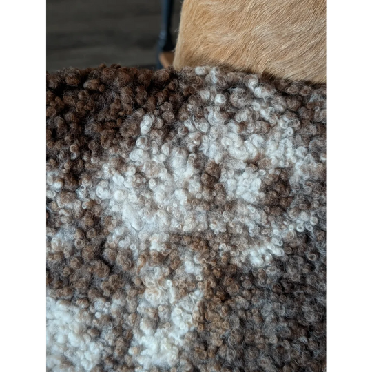 Cozy brown and white curly wool throw blanket made from grade a tibet highland spotted sheepskin, 40 by 26 inches