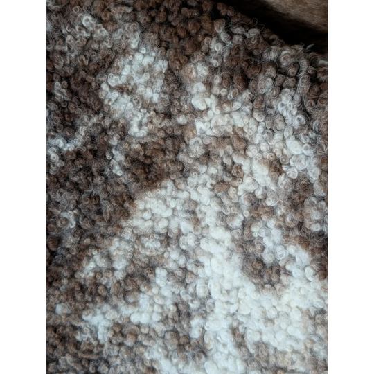 A cozy tibet highland spotted sheepskin with soft brown and white curly fibers perfect for home decor