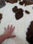 A plush white and brown highland spotted sheepskin rug with soft fluffy texture perfect for cozy decor