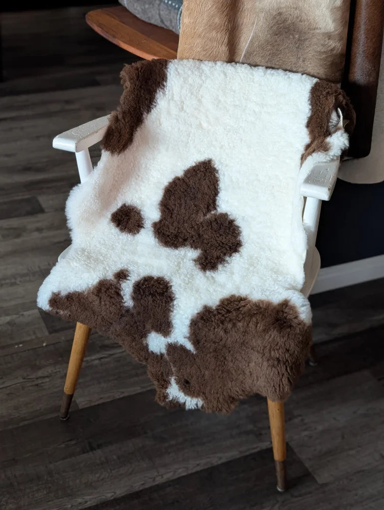 A plush white and brown highland spotted sheepskin throw draped over a wooden chair made from tibet highland spotted material
