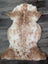 A soft fluffy tibet highland spotted sheepskin rug in creamy white and light brown perfect for cozy decor