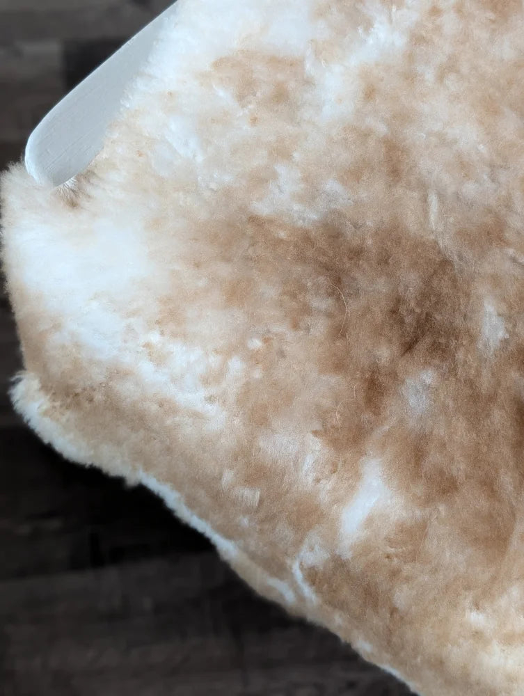 A plush cream and tan highland spotted sheepskin throw blanket with soft fluffy texture from tibet highland spotted grade a