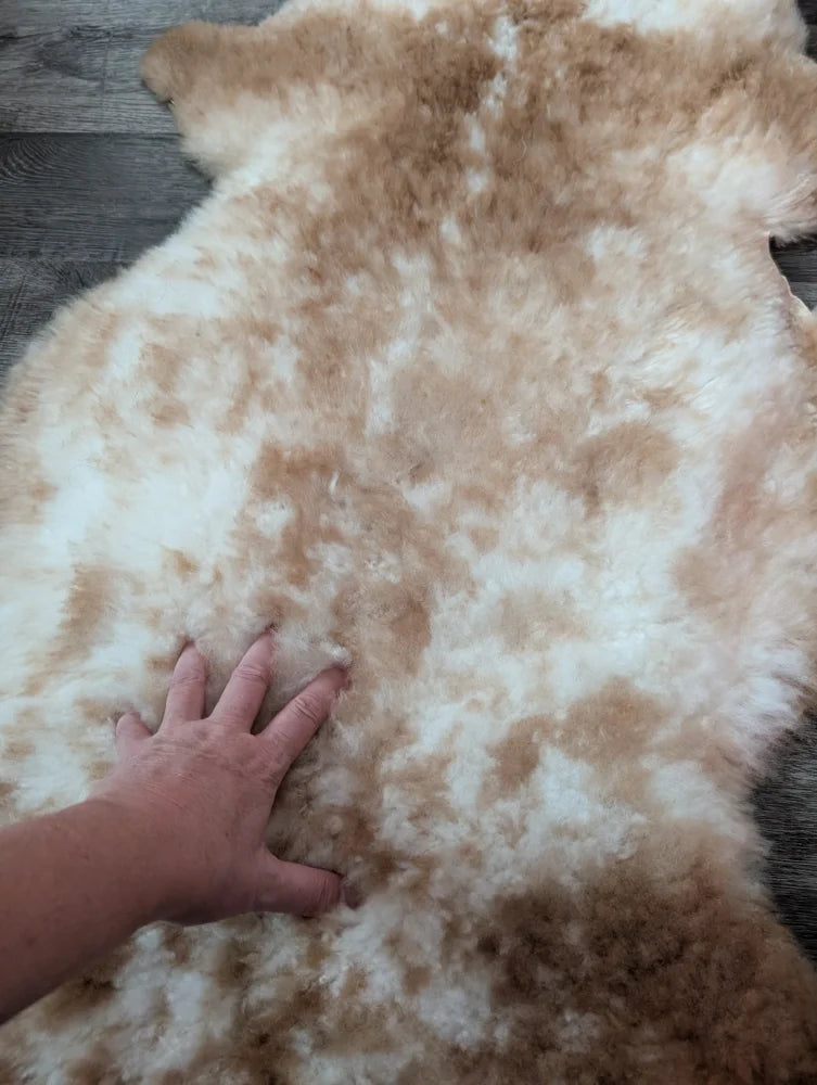 A soft fluffy grade a tibet highland spotted sheepskin rug in cream and light brown perfect for cozy decor