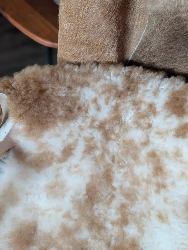 A plush cream and tan mottled tibet highland spotted sheepskin blanket with soft curly texture measuring 41.5 x 24.5 inches