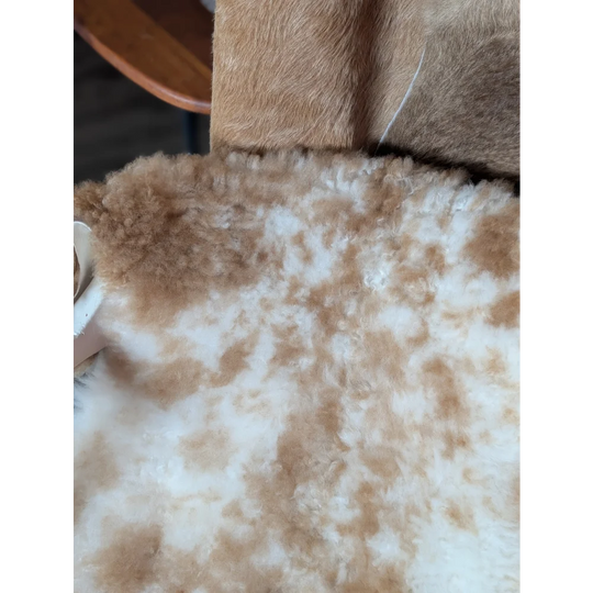 A plush cream and tan mottled tibet highland spotted sheepskin blanket with soft curly texture measuring 41.5 x 24.5 inches