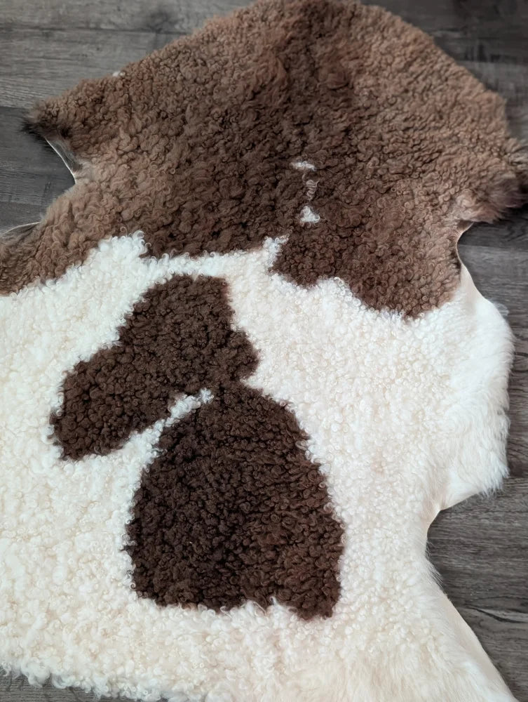 A plush cream and brown tibet highland spotted sheepskin rug with soft curly texture measuring 41 by 26.5 inches