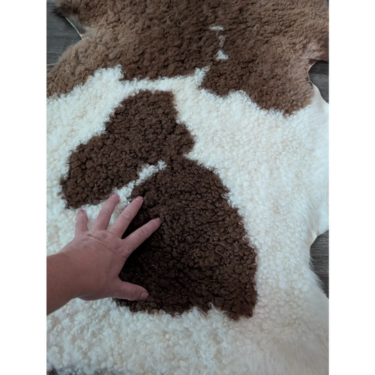 A plush tibet highland spotted sheepskin rug in brown and white with soft textured curly fur measuring 41 by 26.5 inches