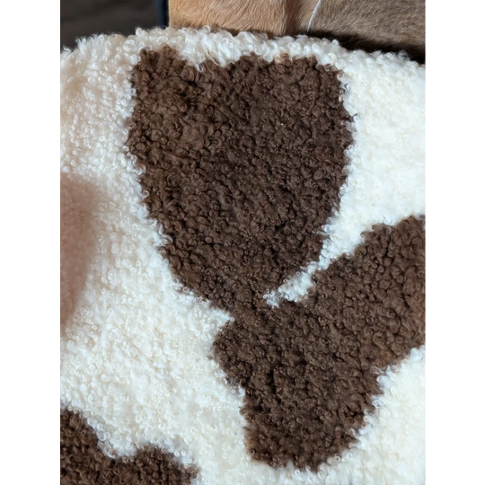 A plush cream and brown highland spotted sheepskin blanket with a soft curly texture perfect for cozy use