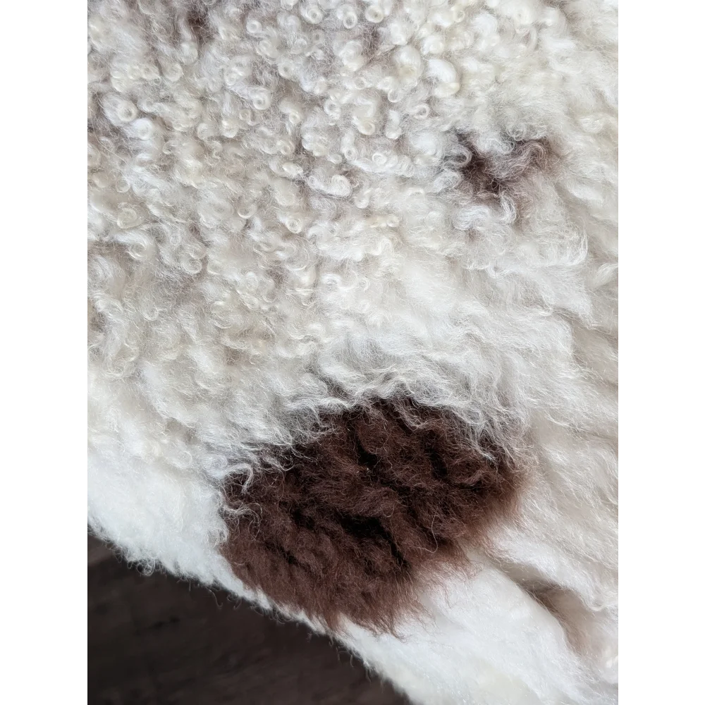 A plush curly white and brown tibet highland spotted sheepskin rug with a soft textured surface 42 x 27 inches