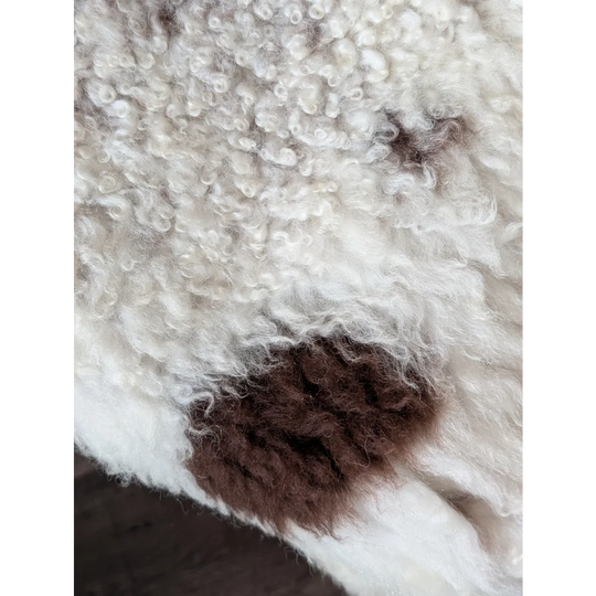 A plush curly white and brown tibet highland spotted sheepskin rug with a soft textured surface 42 x 27 inches