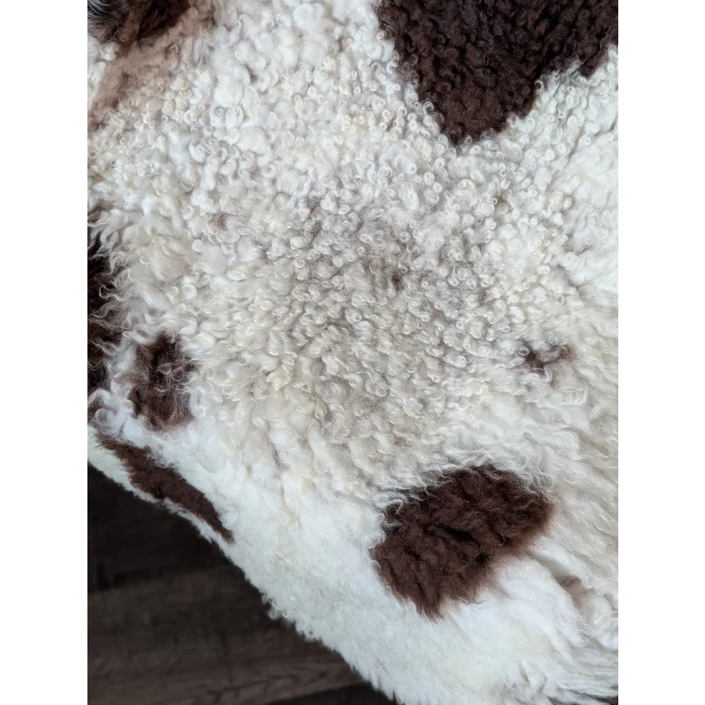 White and brown highland spotted sheepskin rug with curly plush texture 42 by 27 inches from tibet highland spotted grade a