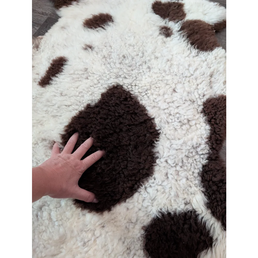 A plush tibet highland spotted sheepskin rug with curly white and brown spots and a hand on a dark patch