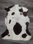 A plush white and brown highland spotted tibet highland spotted sheepskin rug with soft fluffy texture and grade a quality