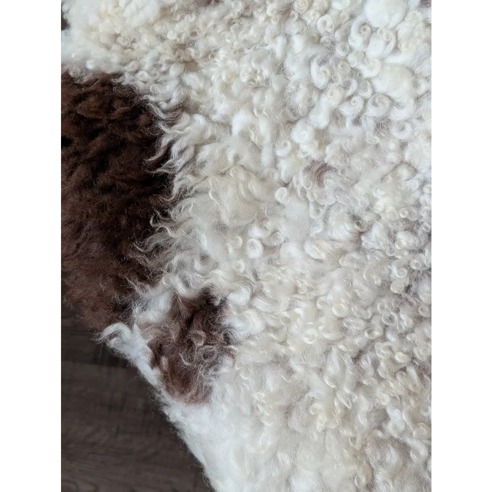 A plush white and brown tibet highland spotted sheepskin rug with a soft curly texture in size 42 by 27 inches