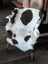 A plush white and brown highland spotted sheepskin throw draped over a white wooden chair