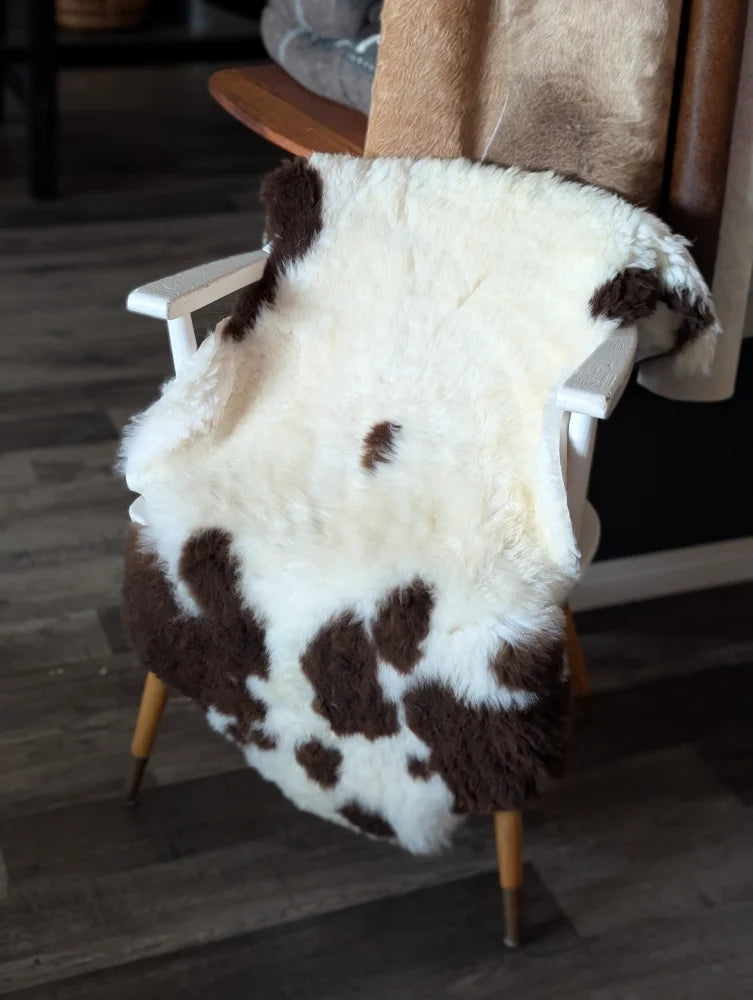 A plush white and brown tibet highland spotted sheepskin rug draped over a white wooden chair with light wood legs