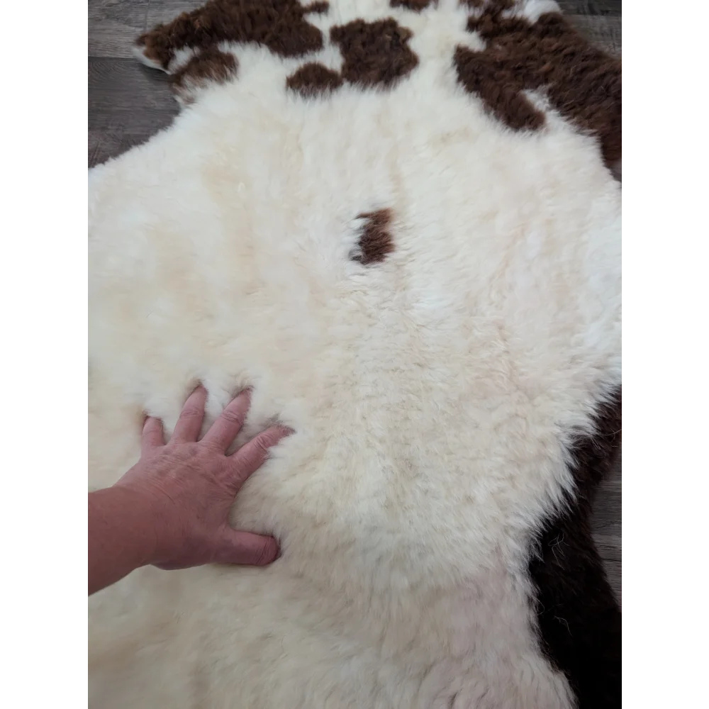 A plush cream and brown tibet highland spotted sheepskin rug with soft fluffy texture measuring 43 by 27 inches